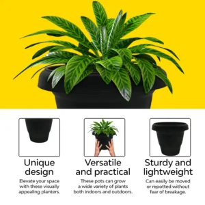 import placeholder for 33319